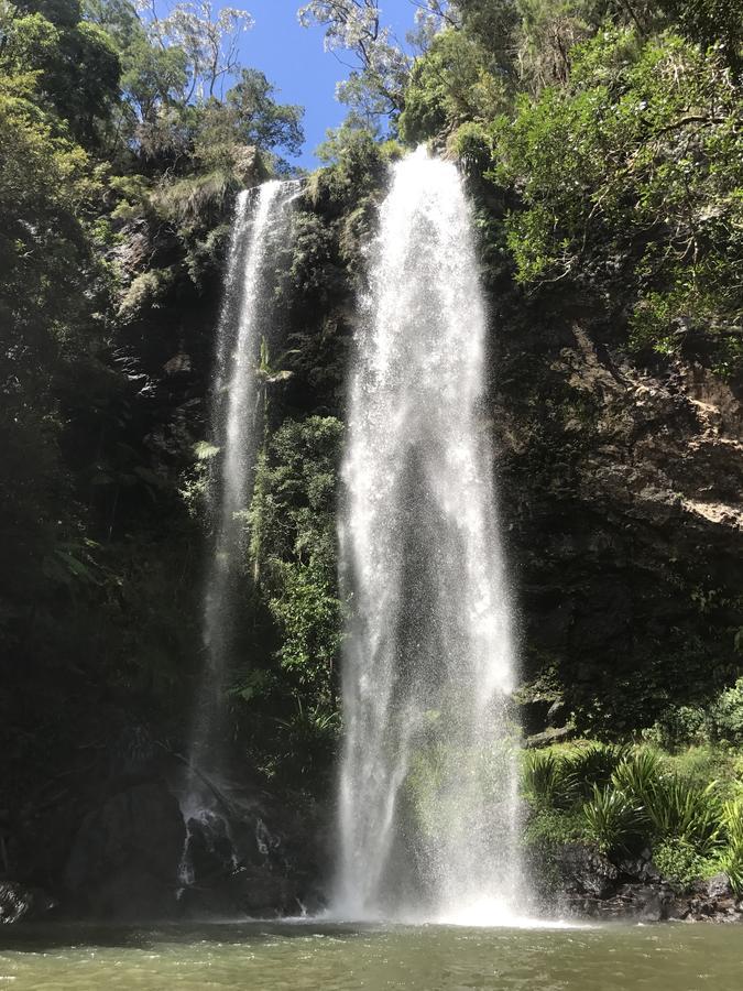 Purling Brook Falls Gwongorella Springbrook Exterior photo